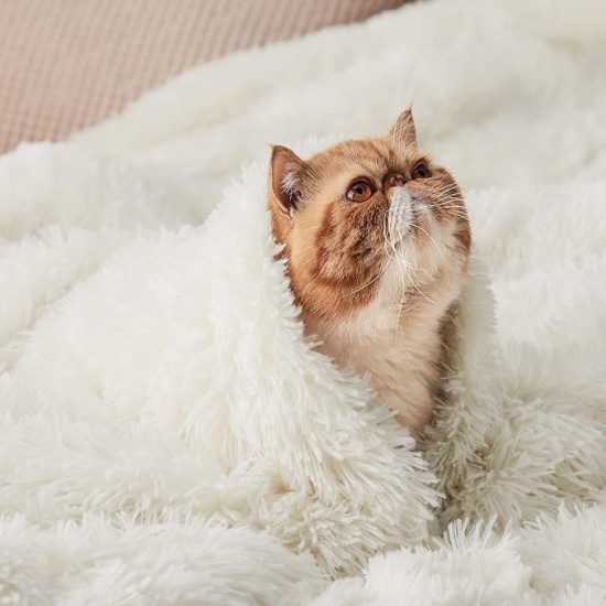 Soft Cream Throw Blanket for Couch, Fluffy Fuzzy Cream Blankets & Throws for Bed, Sofa, Cozy Sherpa Fleece Faux Fur Throw, Thick Warm Christmas Blanket Ivory Cream Gifts for Women, Men, 50x60