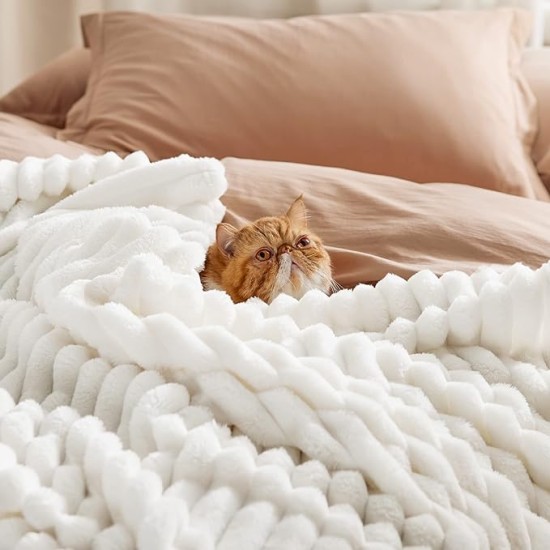 White Throw Blanket for Couch - Super Soft Cozy Blankets for Women, Cute Small Fleece Blanket for Girls, 50x60 Inches