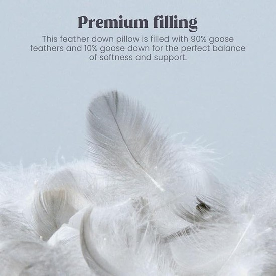 Goose Feather Down Pillow with 2 Pillowcases, Soft Fluffy Medium Firm Luxury Hotel Collection Pillow for Sleeping, Bed Pillows King Size Set of 2 for Side Back, Stomach or Sleeper.