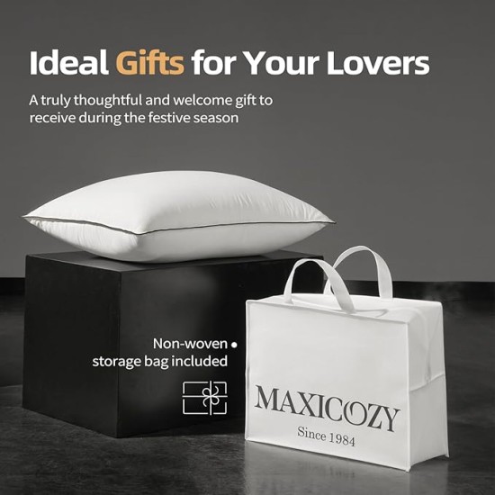 Hungarian Goose Down Pillows King Size, Fluffy 3-Chamber Bed Pillows with 750 Fill-Power, 480 Thread Count Cotton Shell, Soft Cloud White Hotel Pillow for Sleeping- 1 Pack, King Size (20" x 36")