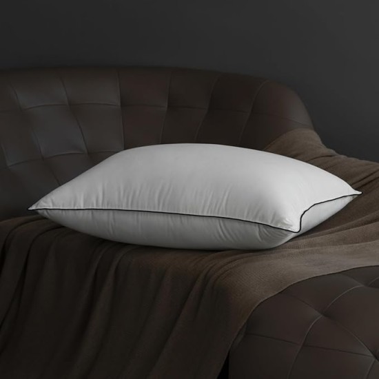 Hungarian Goose Down Pillow Queen Size, 3-Chamber Bed Pillows Queen Size Pillow, White Hotel Pillows for Sleeping, 460TC Soft Cotton Blend Shell- Queen (20" x 28"), 1 Pack