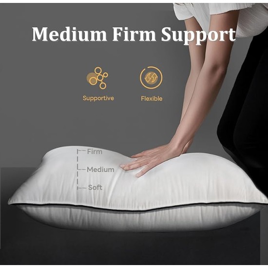 Hungarian Goose Down Pillow Queen Size, 3-Chamber Bed Pillows Queen Size Pillow, White Hotel Pillows for Sleeping, 460TC Soft Cotton Blend Shell- Queen (20" x 28"), 1 Pack