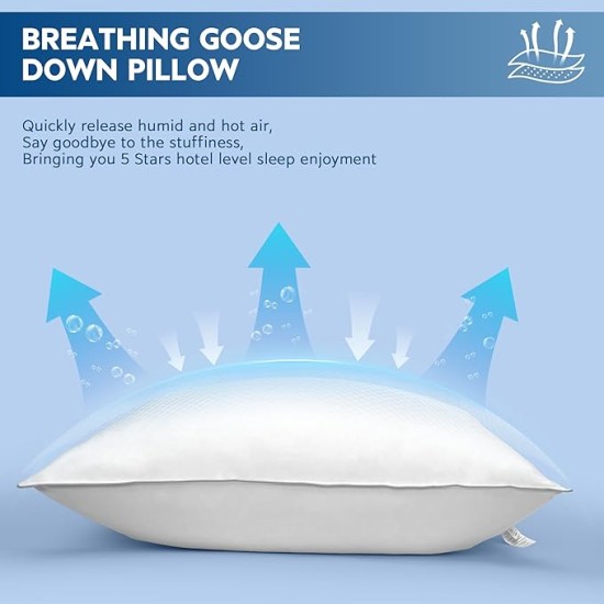 Natural Goose Down Pillows: Luxury Hotel Bed Pillow with 750 Fill Power, White Goose Down Sleeping Pillow with Pillowcase, Soft Pillow for Back, Side, Stomach Sleepers - 1 Pack, Standard (20" x 26")