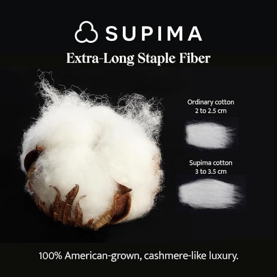 Double Stitch Supima Cotton Duvet Cover Set - 100% American Grown Cotton Duvet Cover Queen, Luxury 600 Thread Count Sateen Weave, Hotel Quality Bedding Set, Oat, 90" x 90"