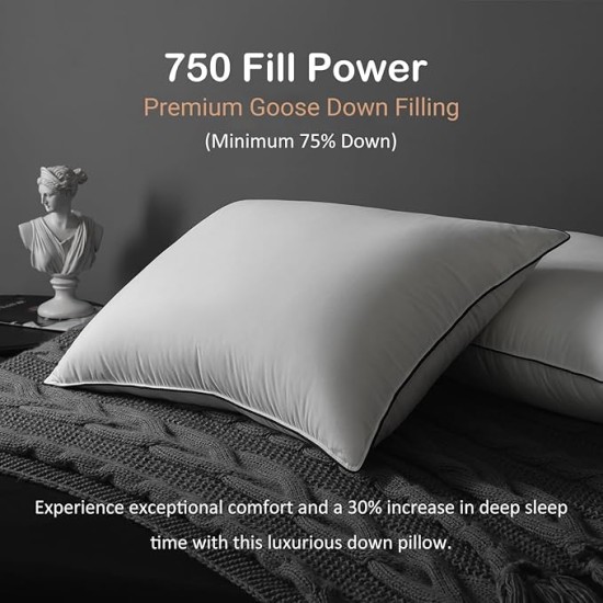 Luxury All Hungarian Goose Down Pillows Standard Size, Soft and Support Down Bed Pillow for Back,Side,Stomach Sleepers, 1 Pack, Standard (20"x26")