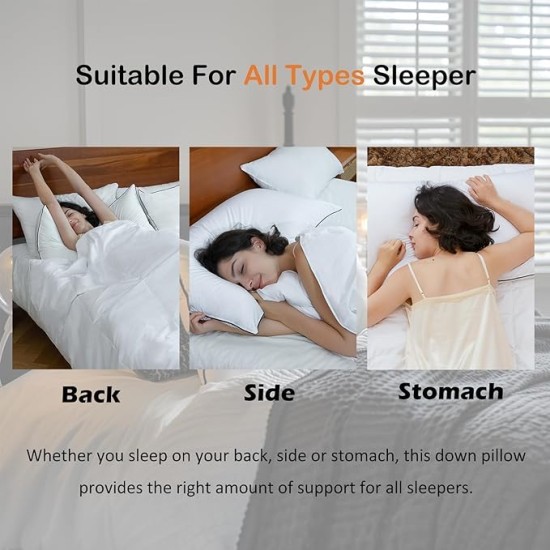 Luxury All Hungarian Goose Down Pillows Standard Size, Soft and Support Down Bed Pillow for Back,Side,Stomach Sleepers, 1 Pack, Standard (20"x26")